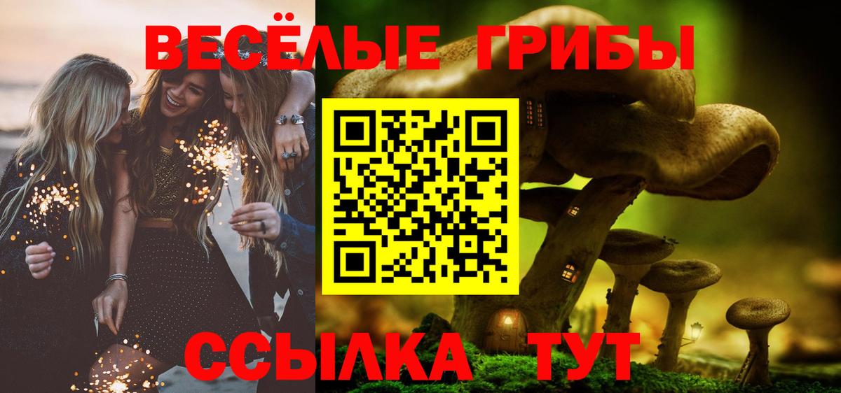 Нальчик  Псилоцибиновые грибы Magic Shrooms  Вход с VPN  Псилоцибиновые грибы прущие грибы 